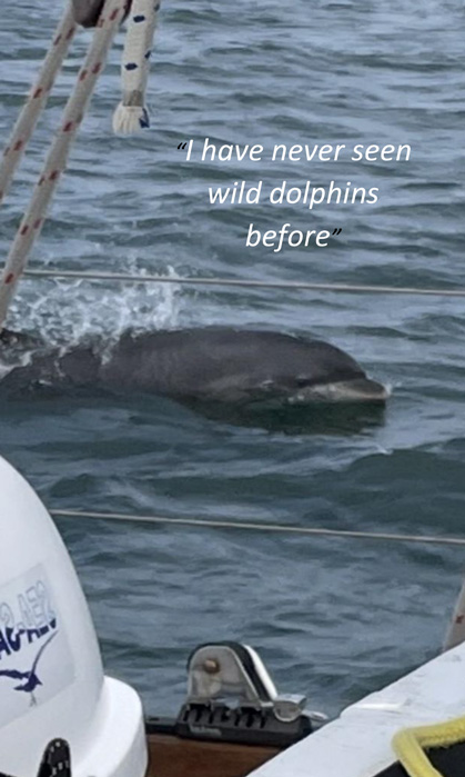 A dolphin escort for our group from Holt Youth Project
